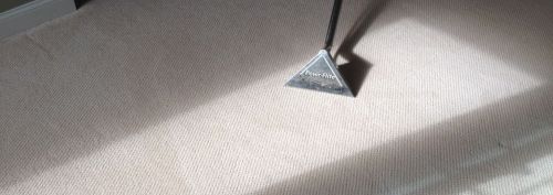 enfield find a carpet cleaner near me