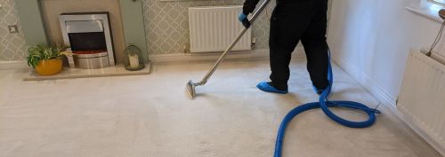 professional carpet cleaning in enfield